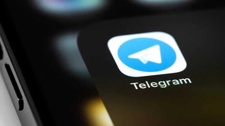 Telegram доминирует: Почти половина россиян ежедневно в мессенджере