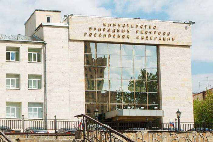 В Свердловской области накопились многомиллионные долги по аренде лесных участков