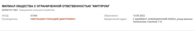 Откровенное рейдерство и захват чужих активов: Почему Геннадий Никульшин собрался в Казахстан